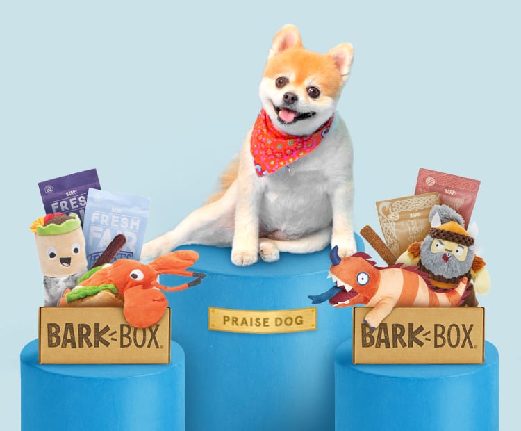 monthly dog toy box