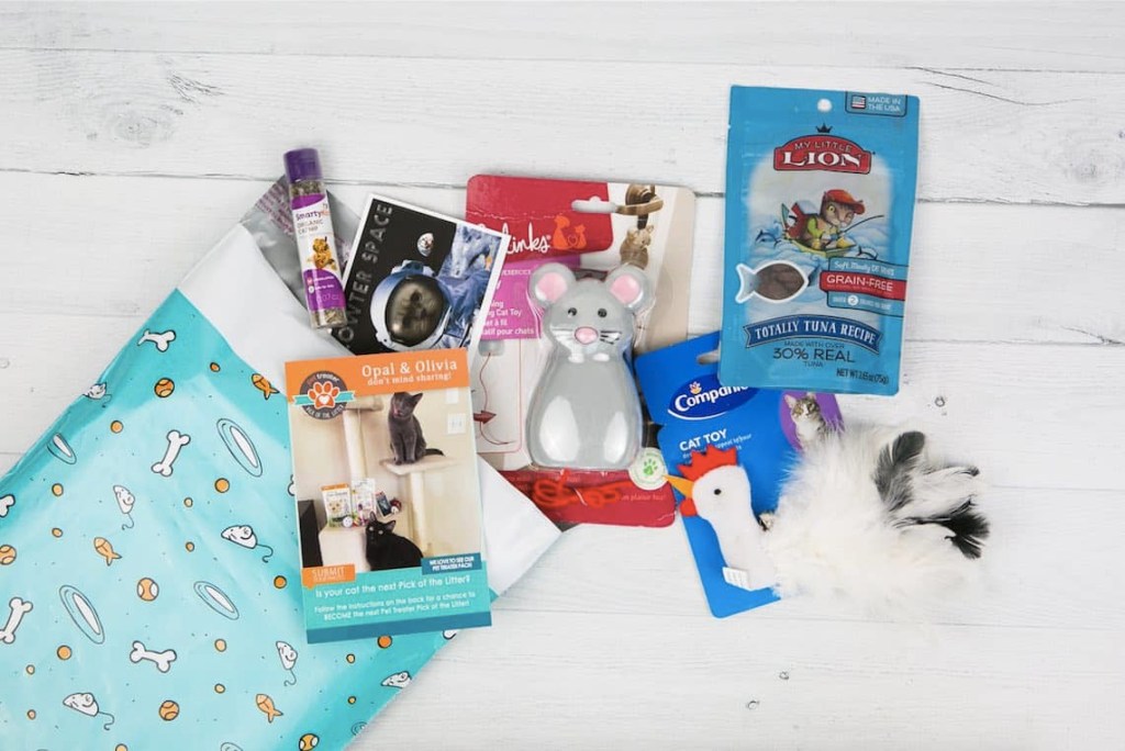 Cat Subscription Boxes Hello Subscription