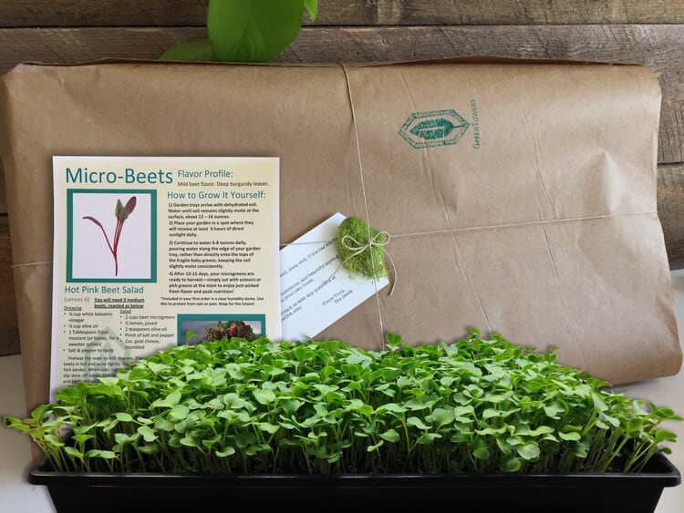 GardenBox Reviews Get All The Details At Hello Subscription!
