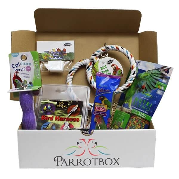 parrot toy subscription box