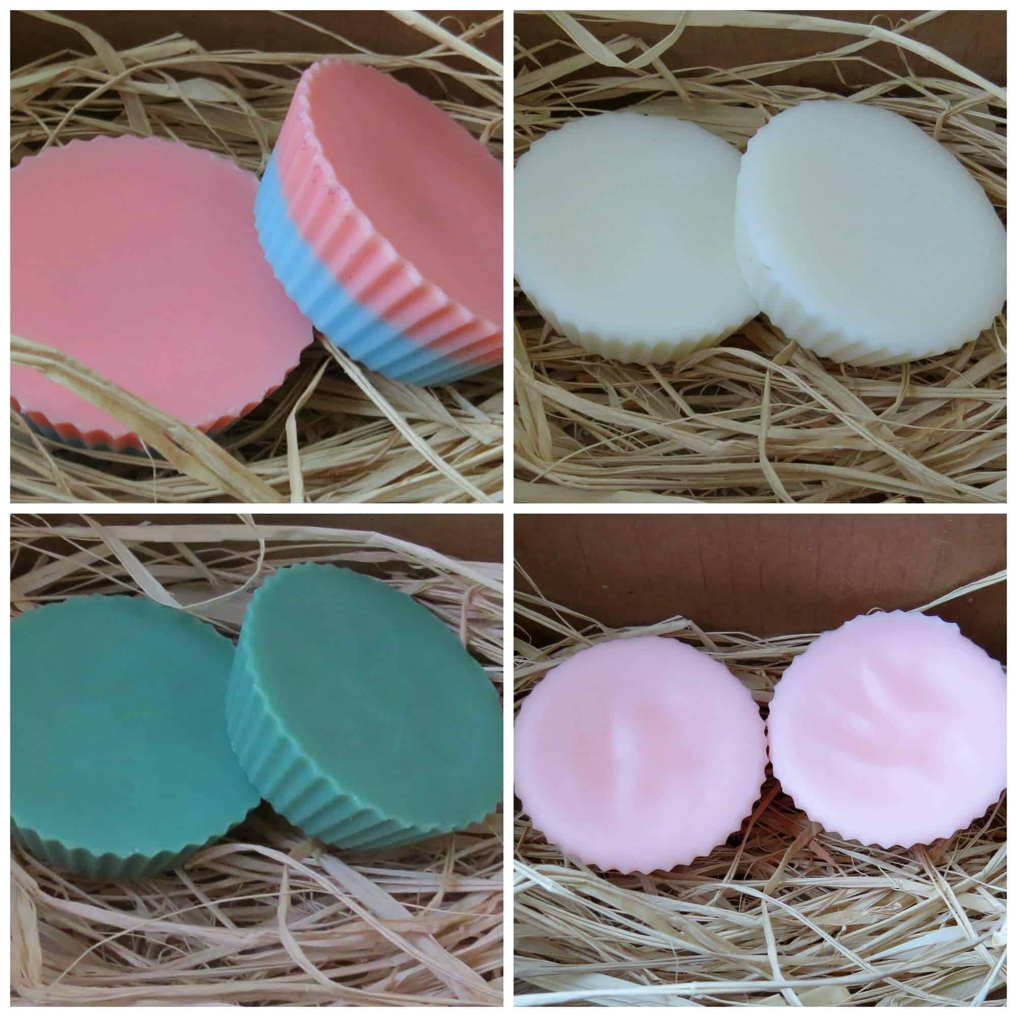 Glitter Garden Farm Wax Tart of the Month Reviews Get All The Details