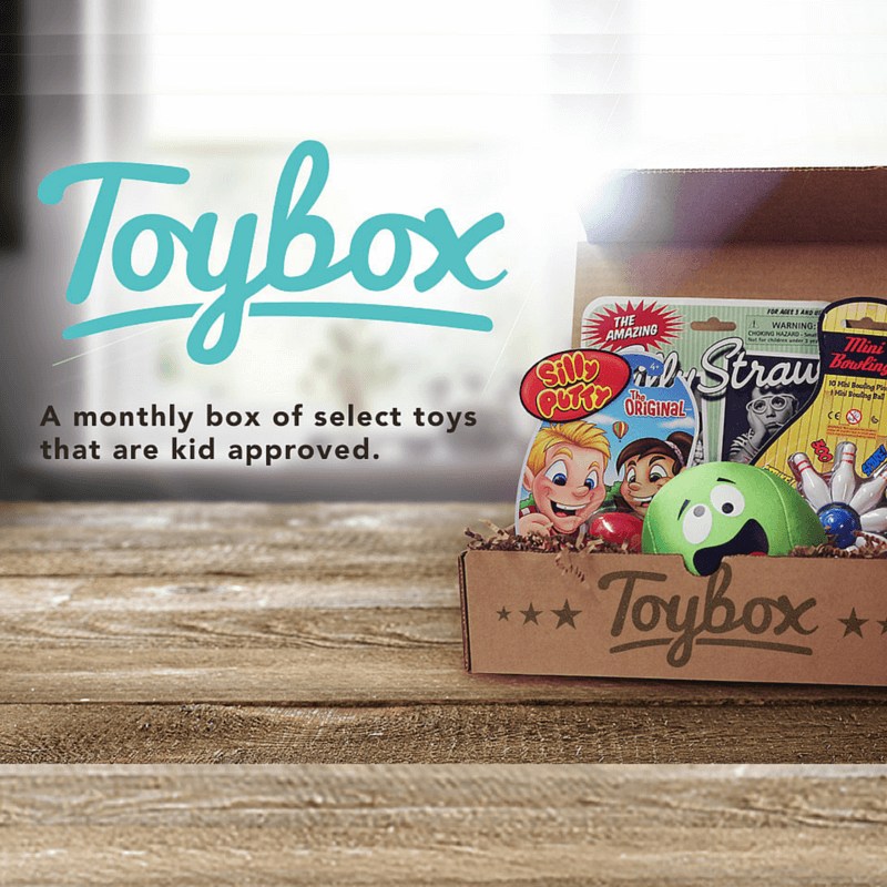 Toybox Reviews Get All The Details At Hello Subscription!