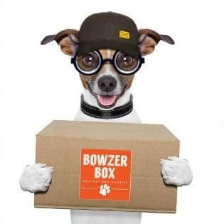 chomp dog box