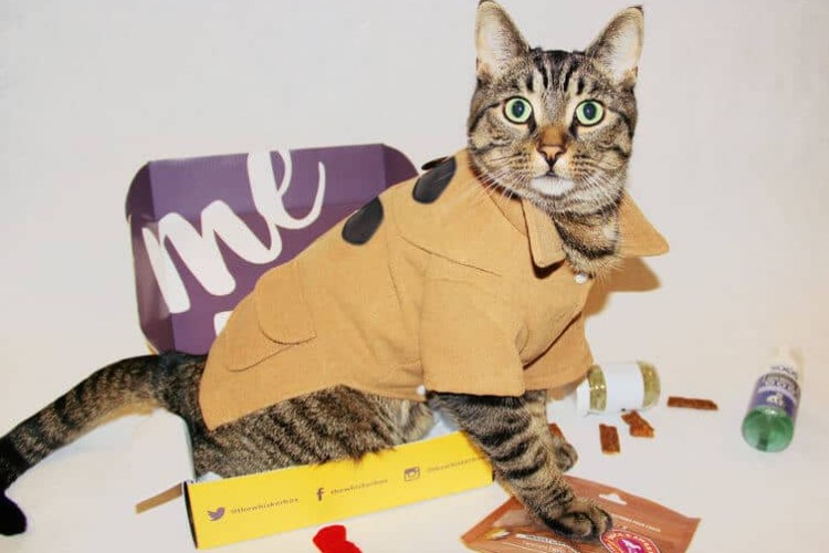 Litter One Reviews Get All The Details At Hello Subscription!