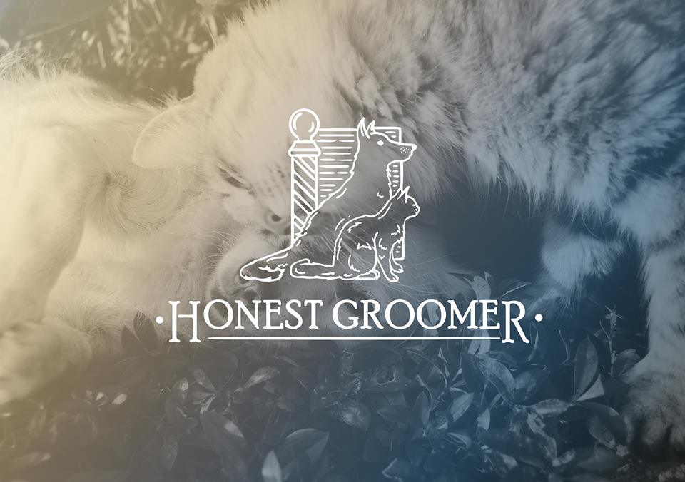 Honest on sale groomer box