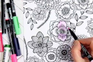 Download Coloring Book Subscriptions Hello Subscription