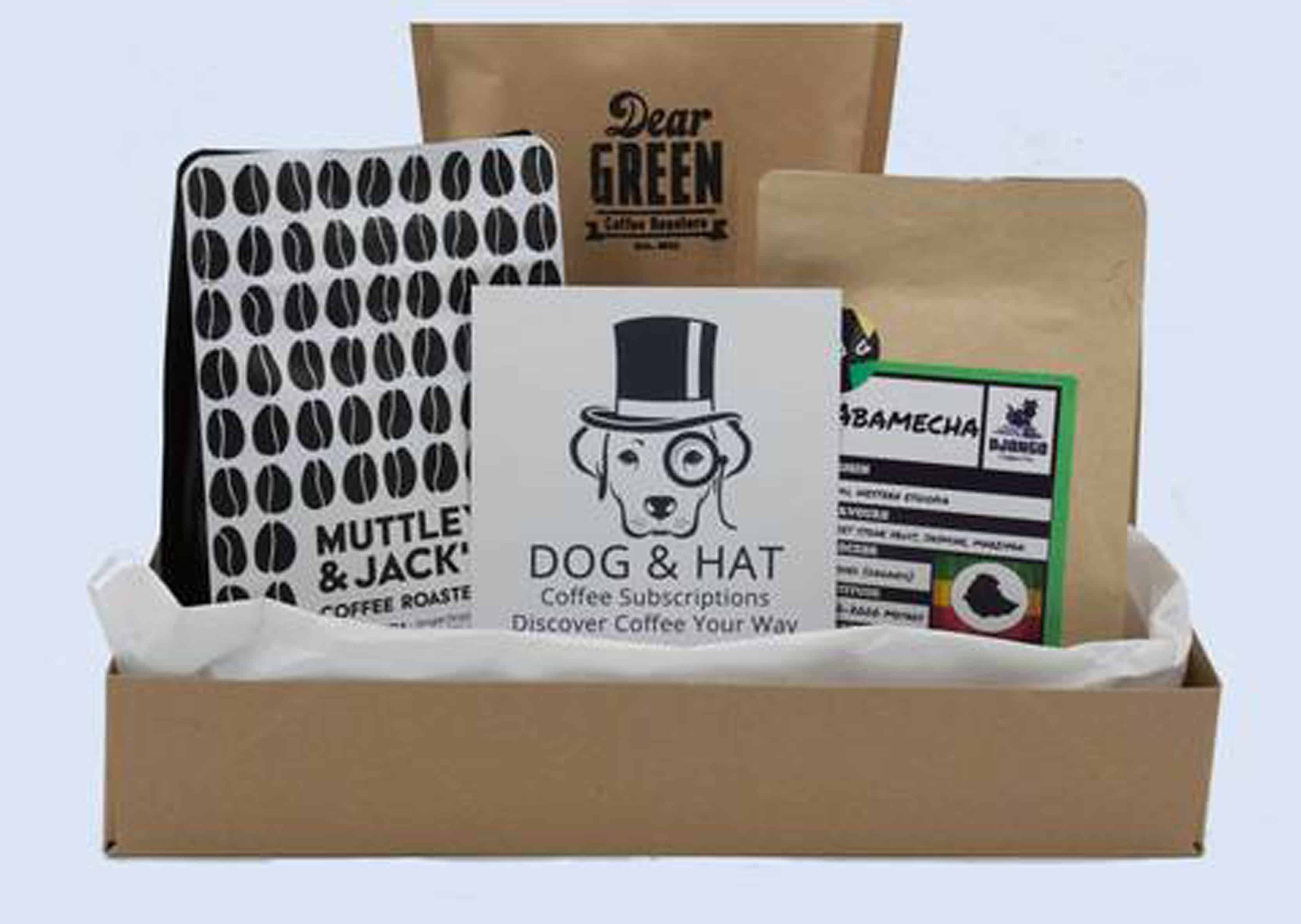 Dog and Hat Reviews Get All The Details At Hello Subscription!