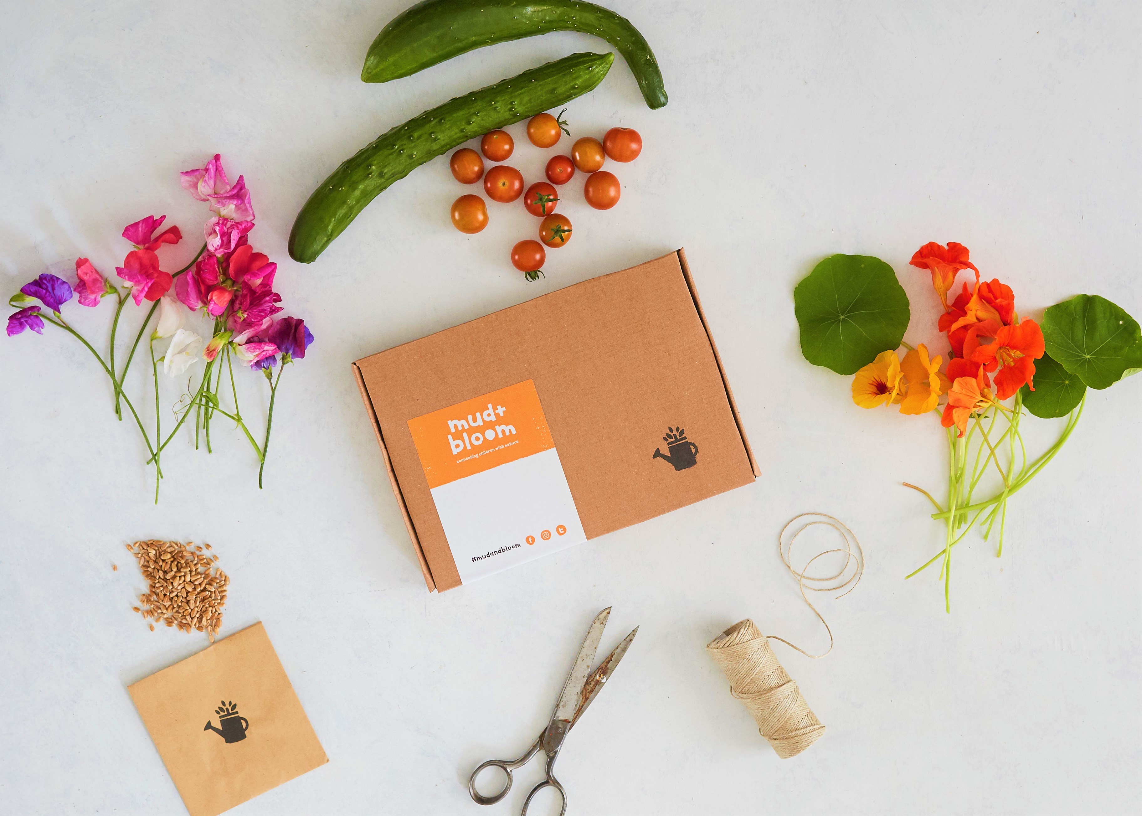 Mud & Bloom Reviews Get All The Details At Hello Subscription!