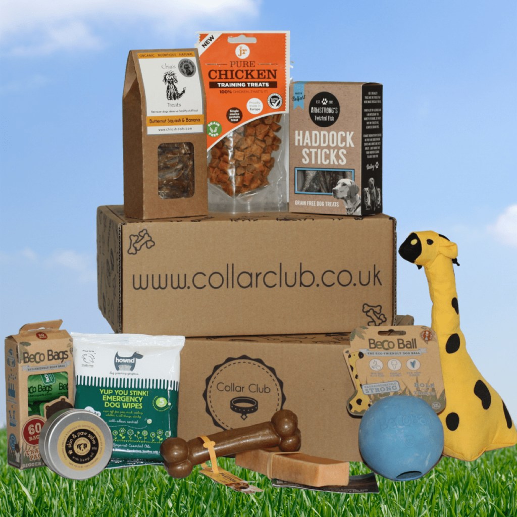 Collar Club Reviews Get All The Details At Hello Subscription!