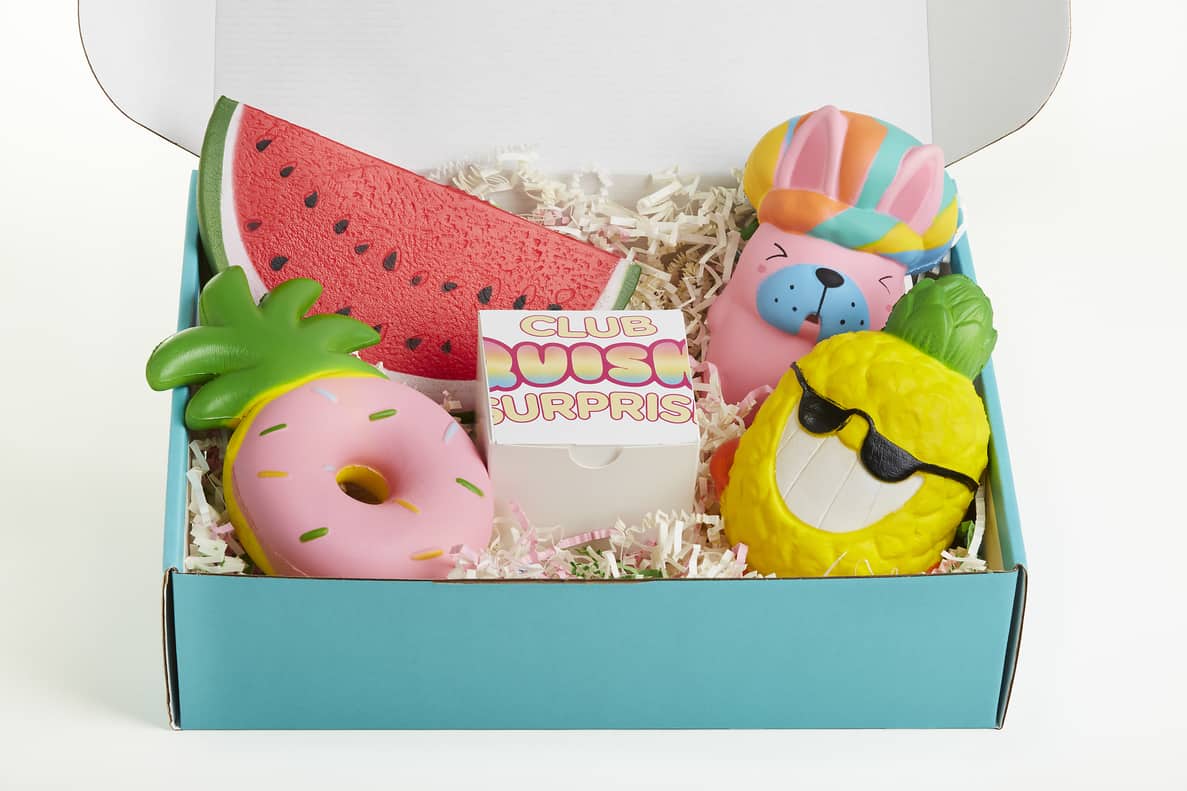 Club Squishy Surprise Reviews Get All The Details At Hello Subscription!