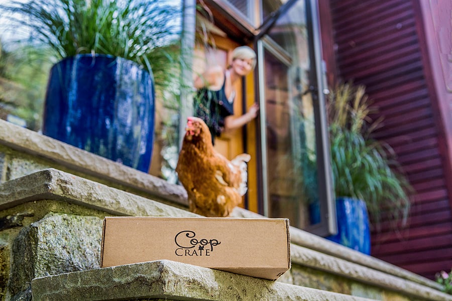 Coop Crate Reviews Get All The Details At Hello Subscription!