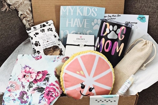 Dog mom monthly box best sale