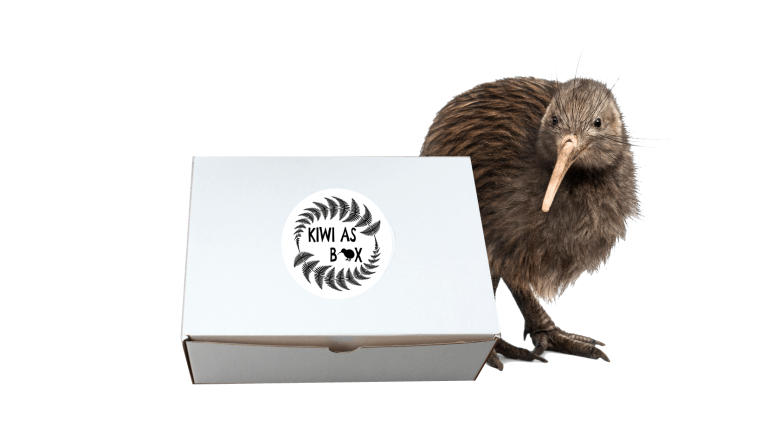 kiwi shoe box