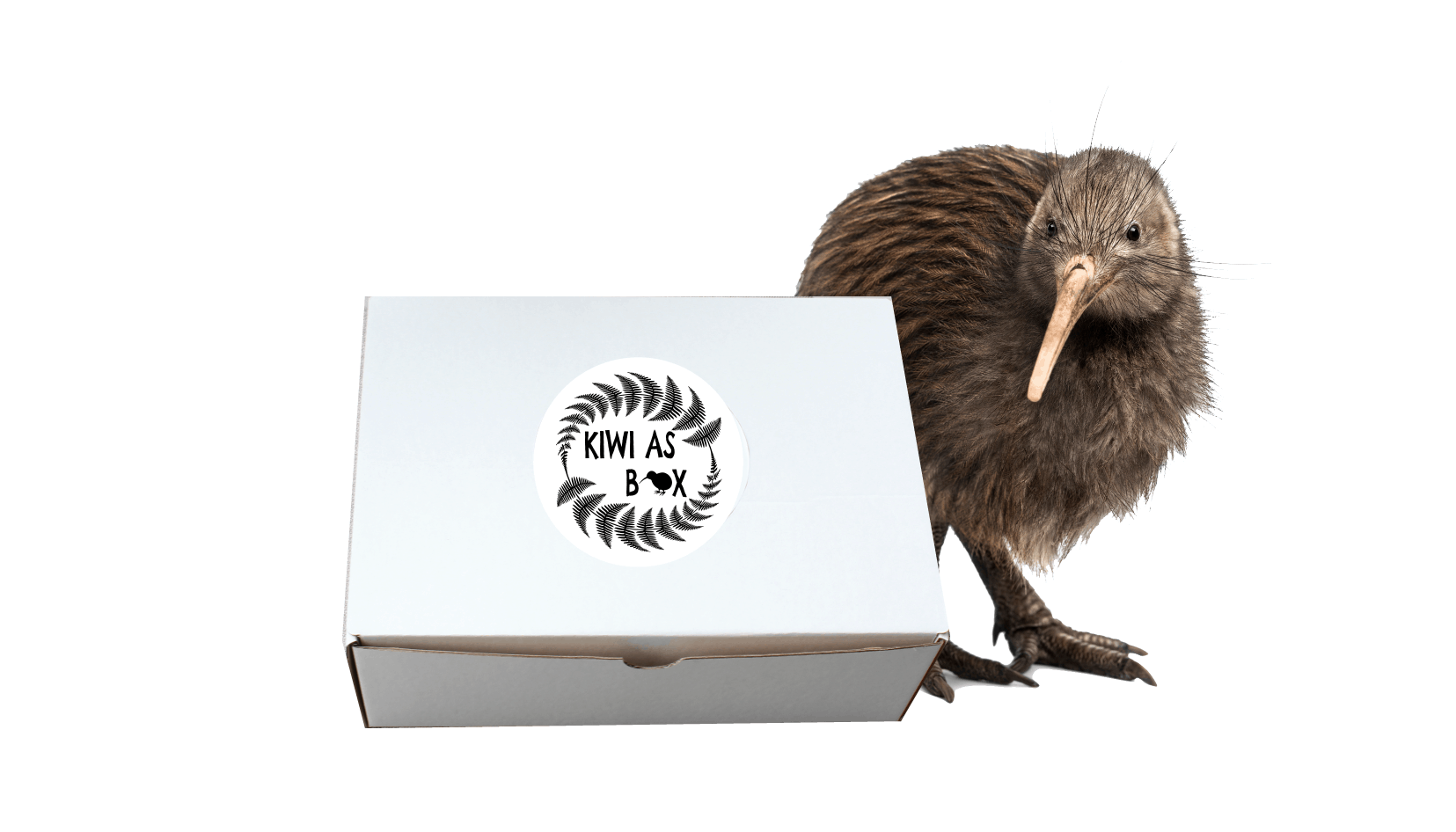 kiwi toys box