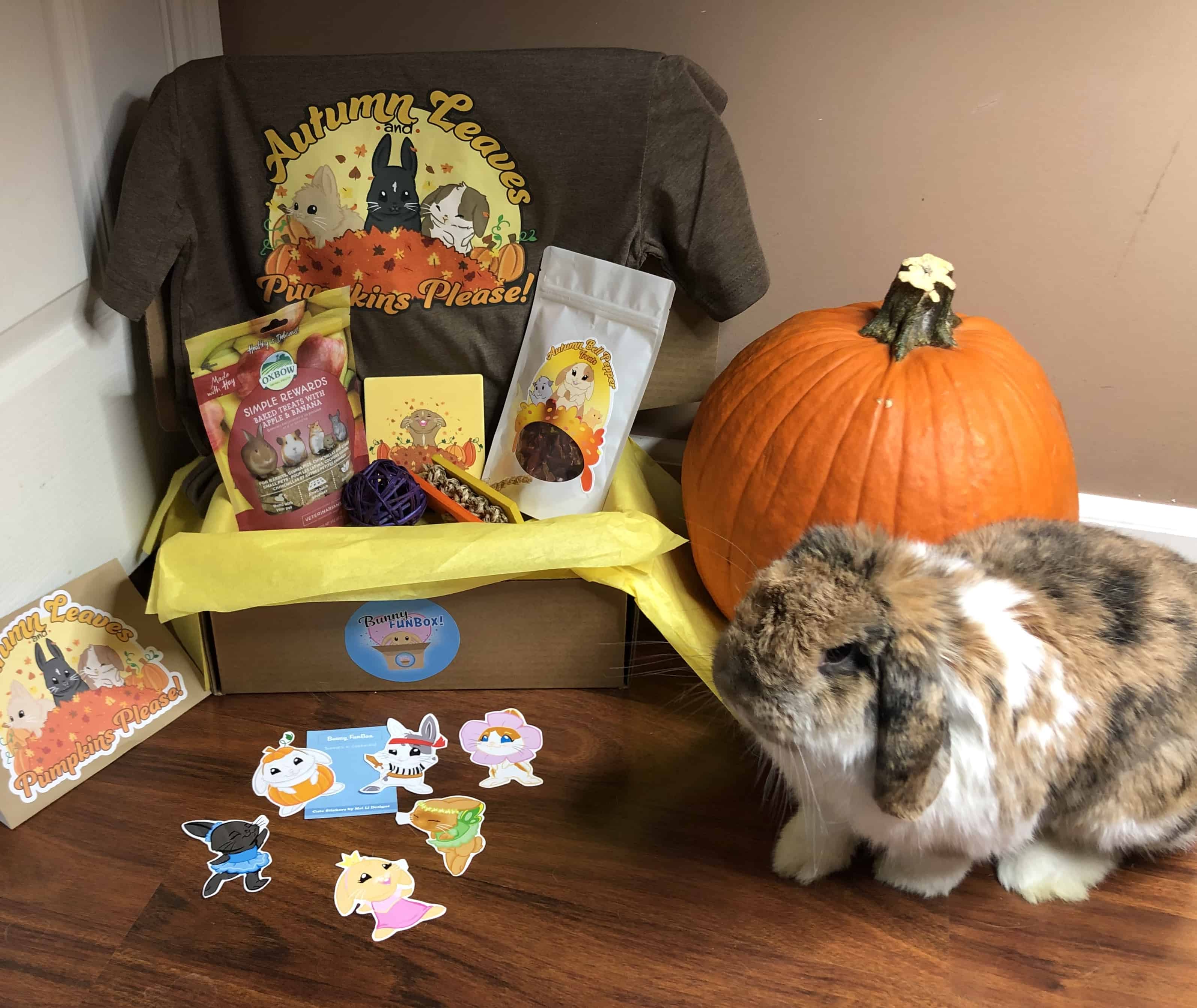 Bunny FunBox Reviews Get All The Details At Hello Subscription!