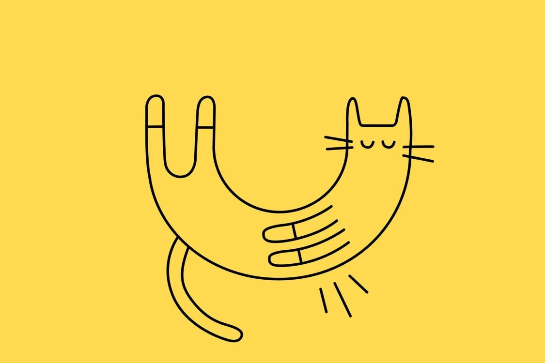 Cat Subscription Boxes Hello Subscription