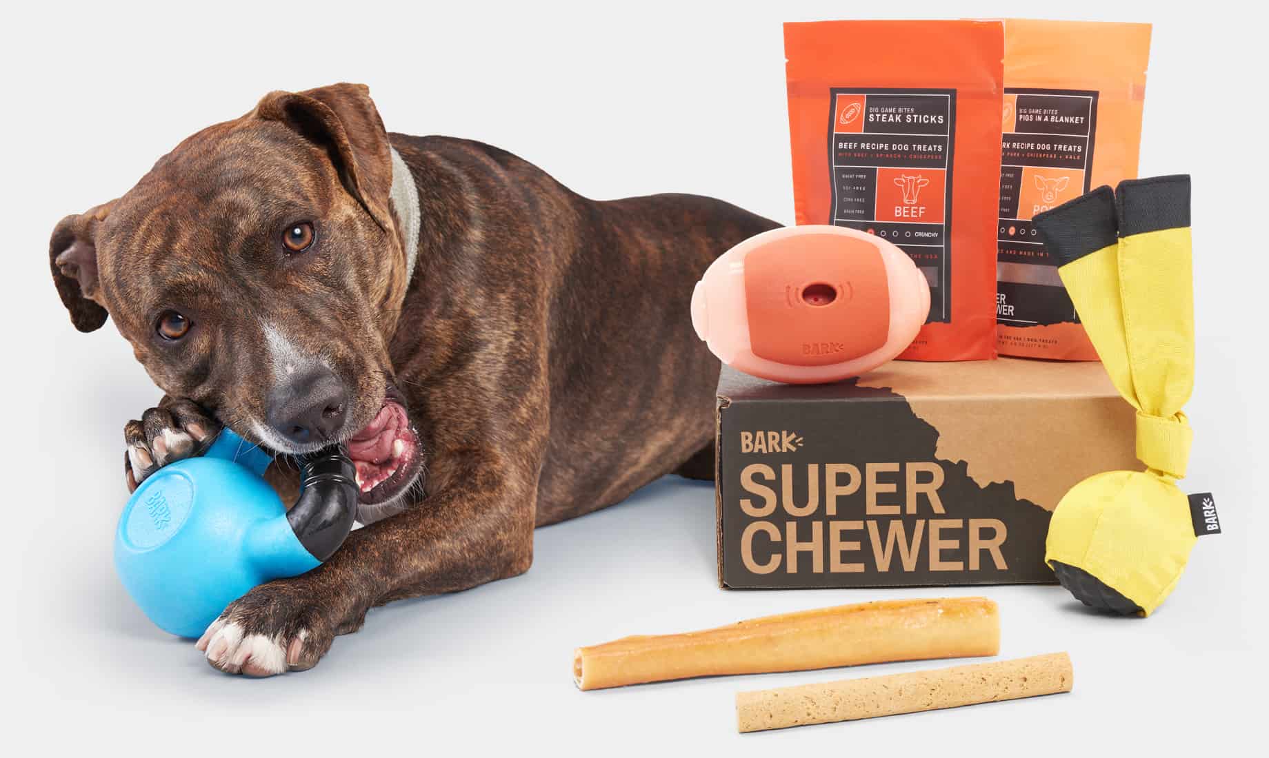 monthly dog boxes for chewers