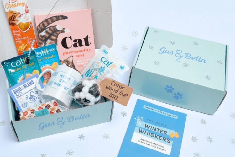 Cat Subscription Boxes Hello Subscription