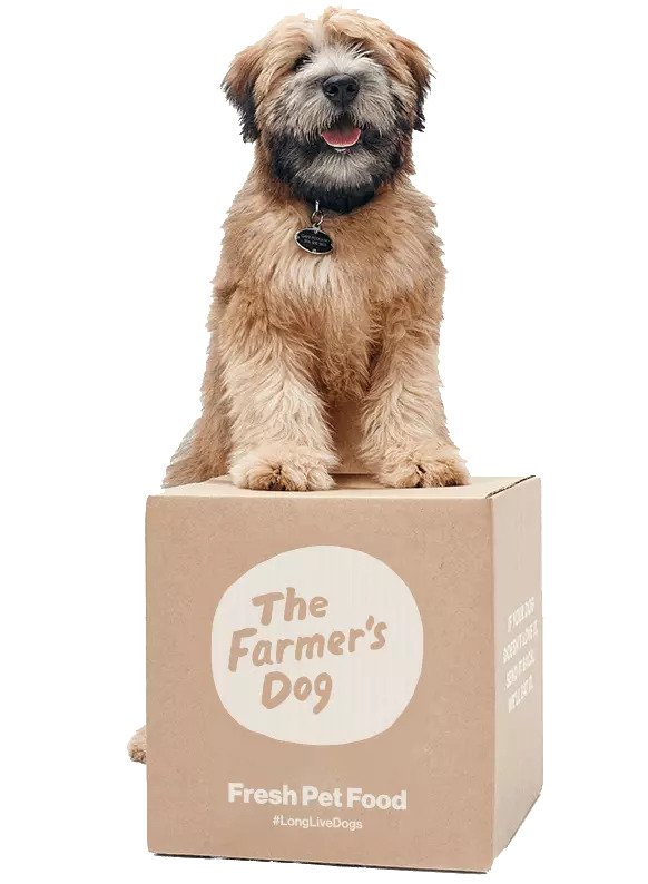 the-farmer-s-dog-hello-subscription