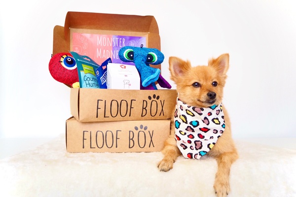 Floof Box Reviews: Get All The Details At Hello Subscription!