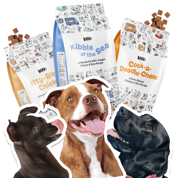BARK Food Reviews Get All The Details At Hello Subscription!