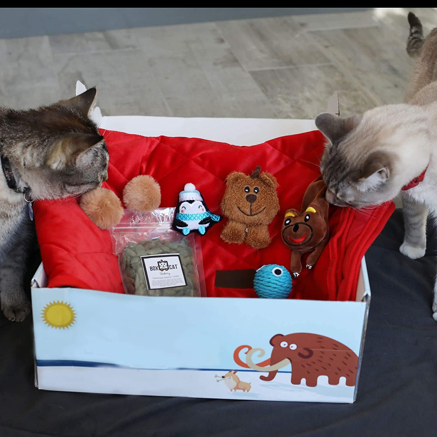 Monthly cat toy box best sale