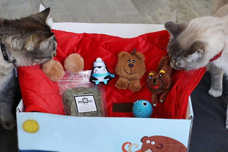Cat Subscription Boxes Hello Subscription