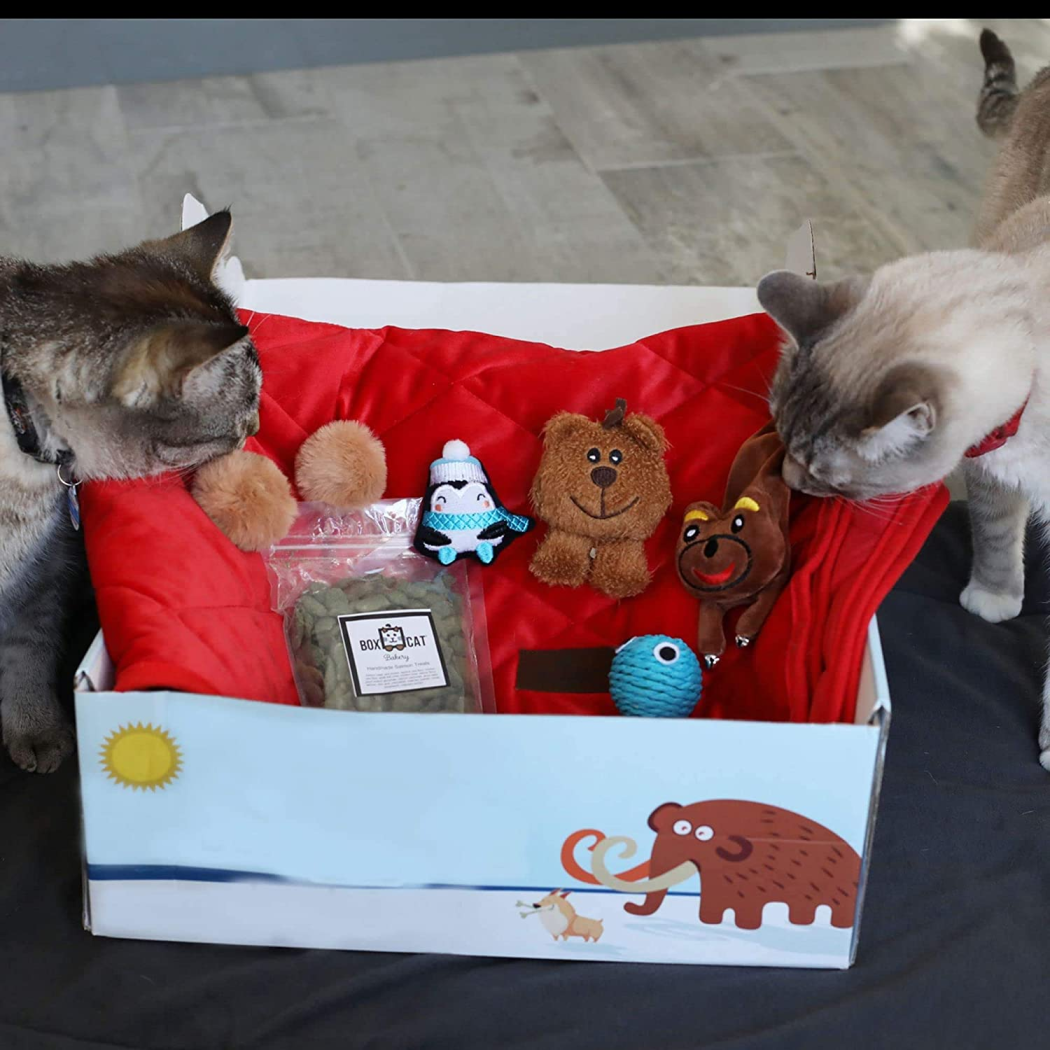 2021 S Best Subscription Boxes For Cats Hello Subscription