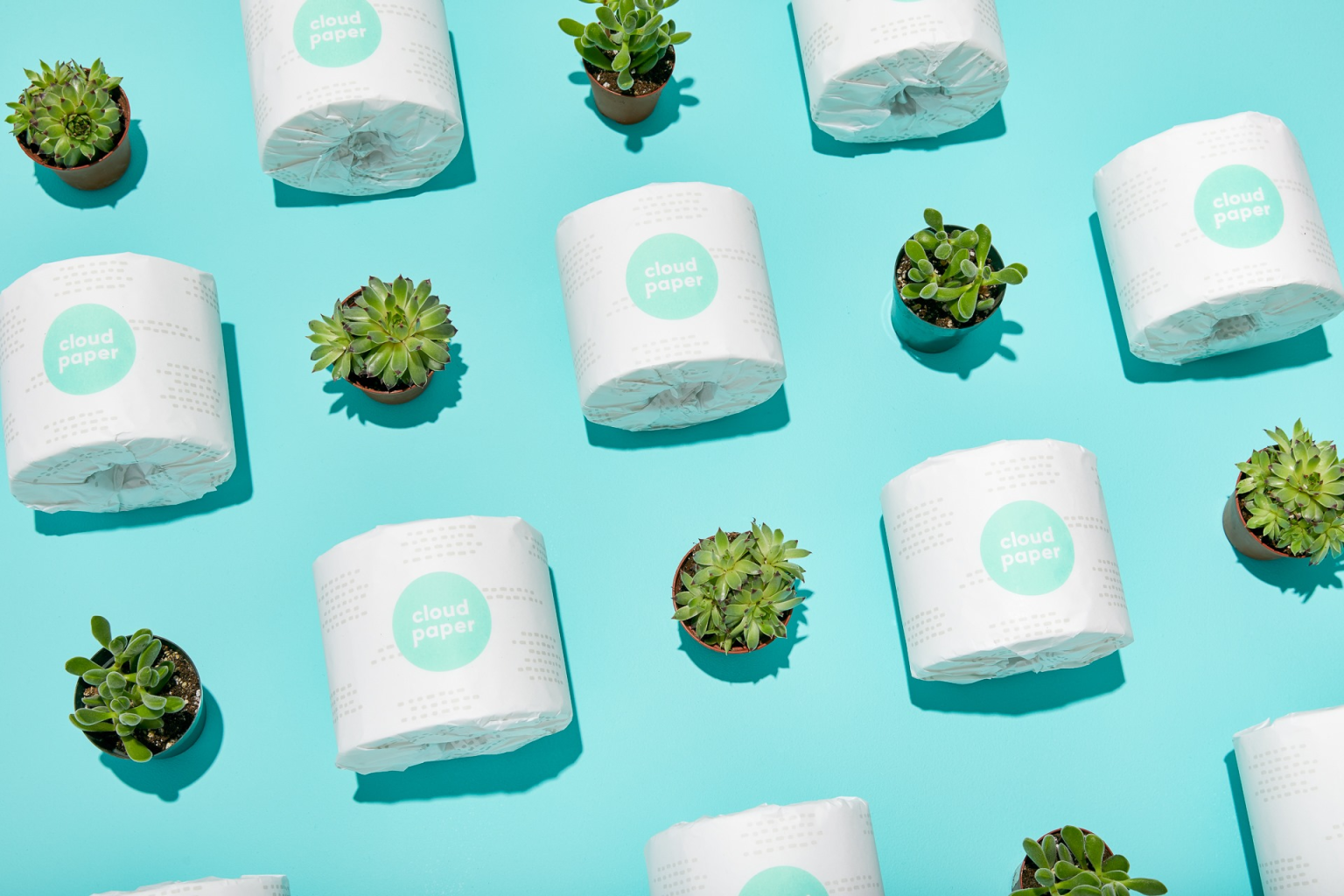 Toilet Paper Subscription Boxes Hello Subscription
