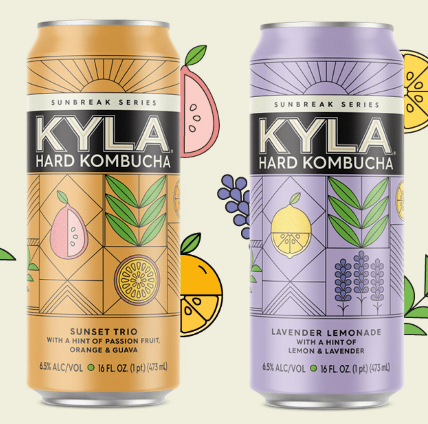 KYLA Hard Kombucha Reviews Get All The Details At Hello Subscription!