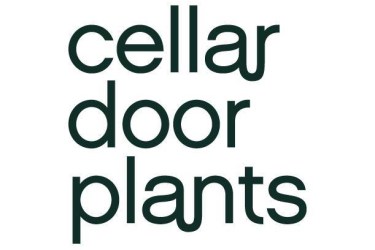 Best Subscription Boxes, Reviews, & Coupons - Hello Subscription