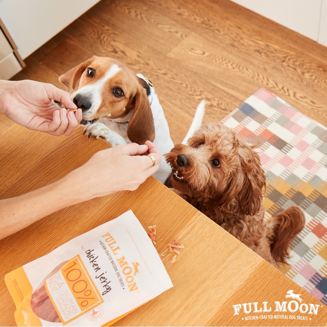 Full Moon Pet Reviews Get All The Details At Hello Subscription!