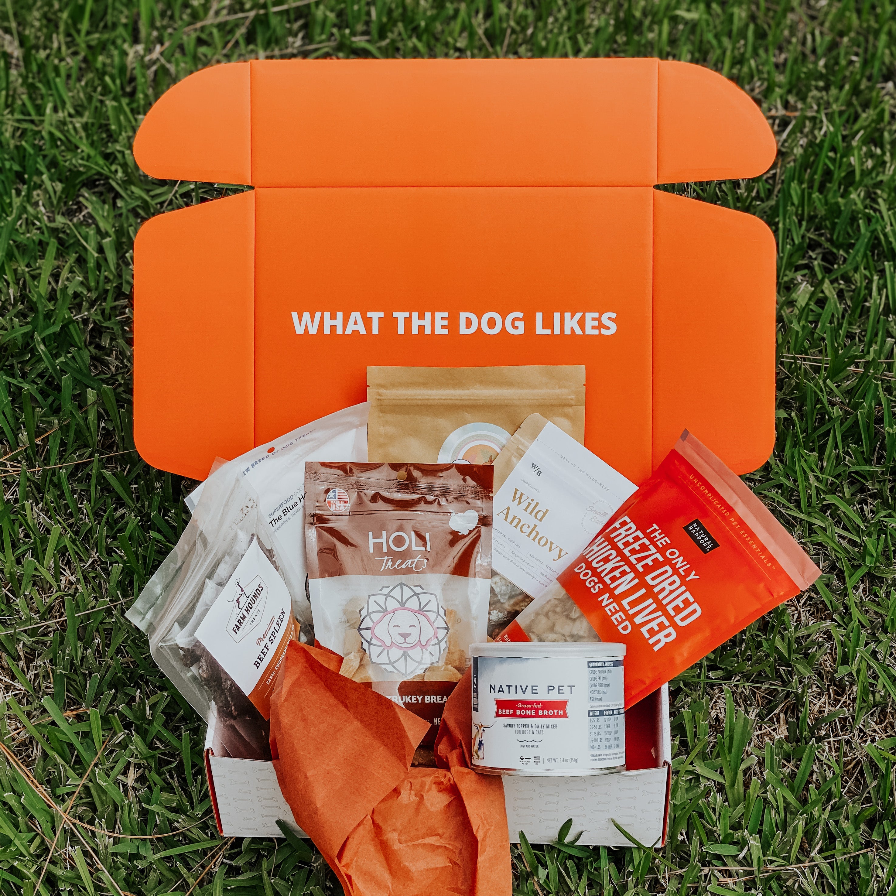 What The Dog Likes Reviews Get All The Details At Hello Subscription!