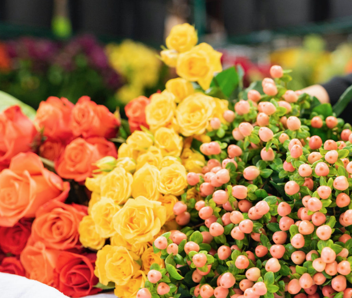 Send Smiles Reviews Get All The Details At Hello Subscription!