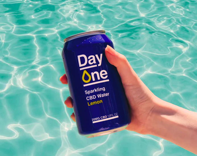 Day One Reviews: Get All The Details At Hello Subscription!